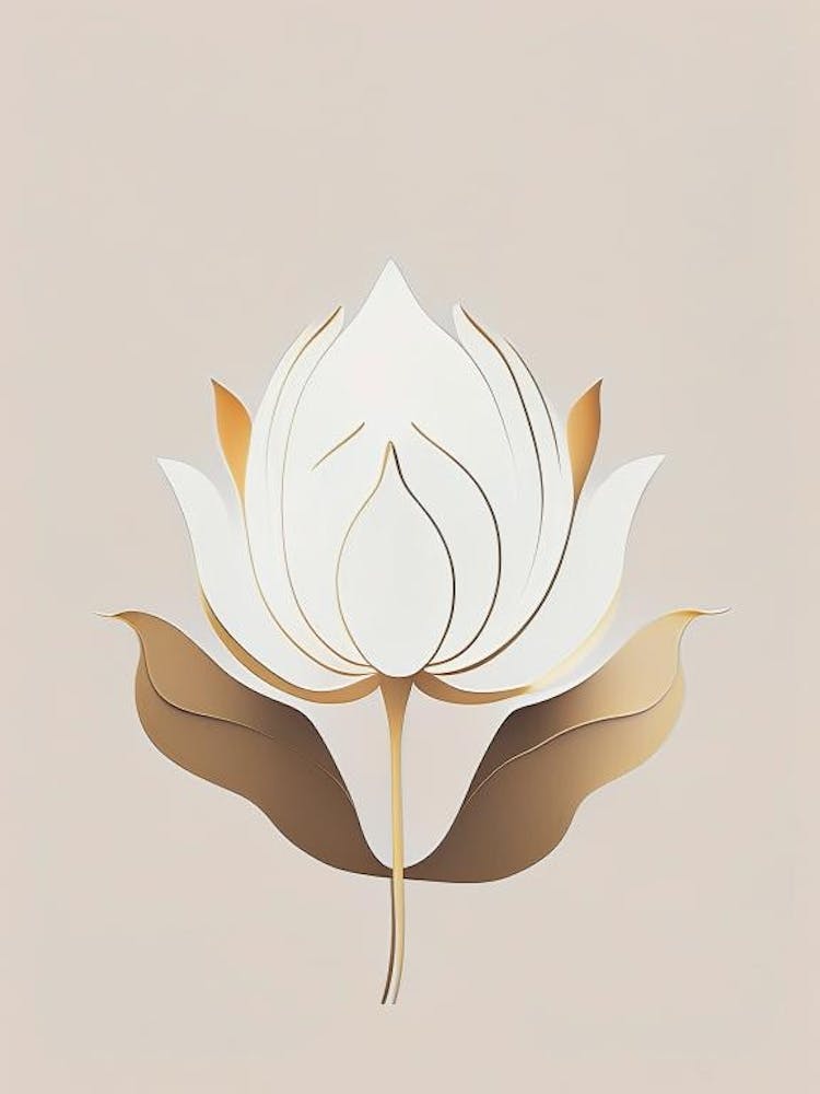 Lotus Précoce Rétro Minimal 1
