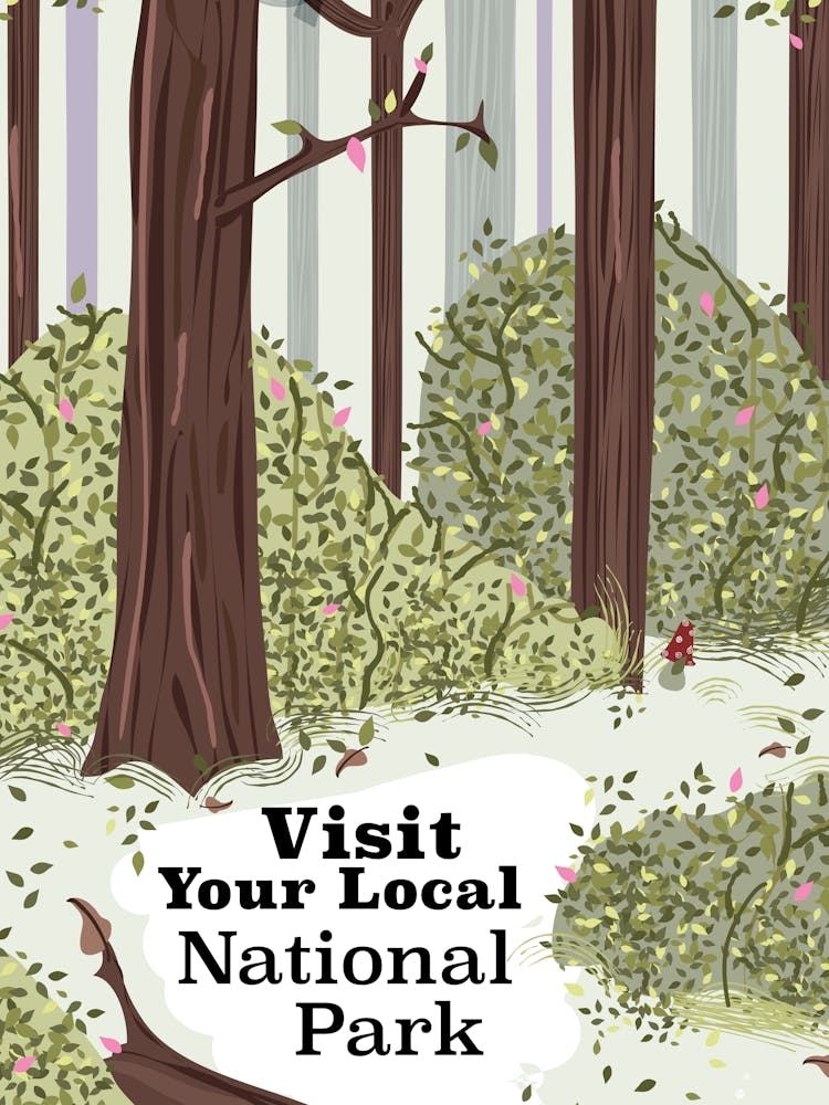 Visit Your Local National Park