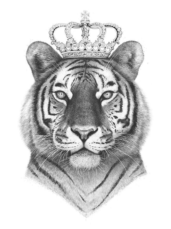 The Tiger King