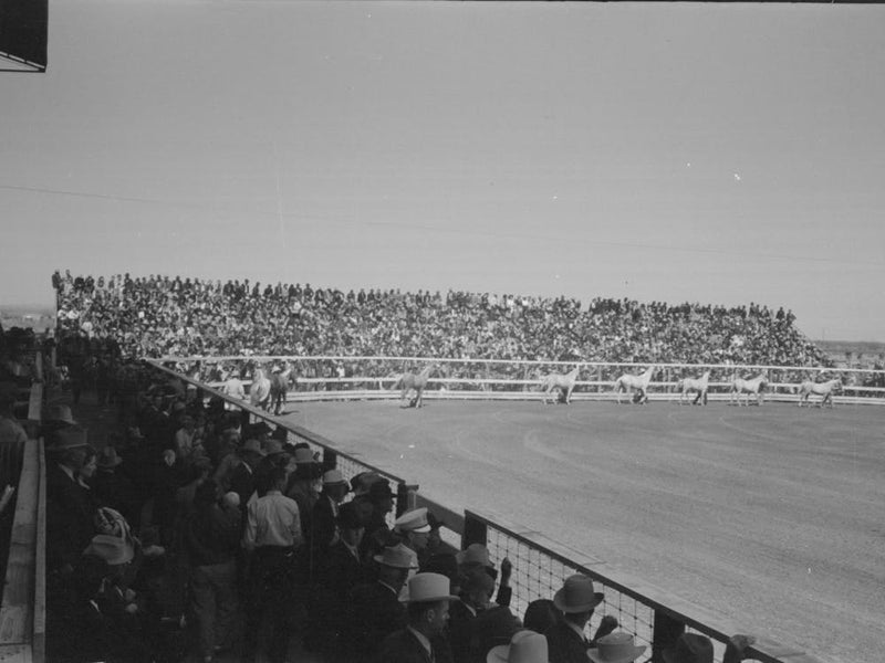 Untitled Photo, Possibly Related To The Band At The Rodeo Of The San Angelo Fat Stock Show, San Angelo, Texas By