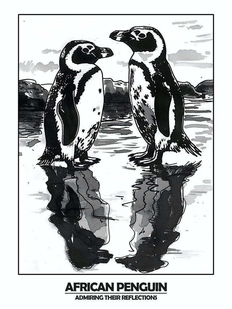 Pinguin, der seine Spiegelungen bewundert Poster 7