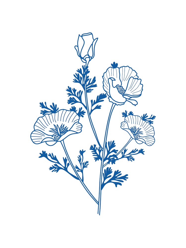 blue flowrs