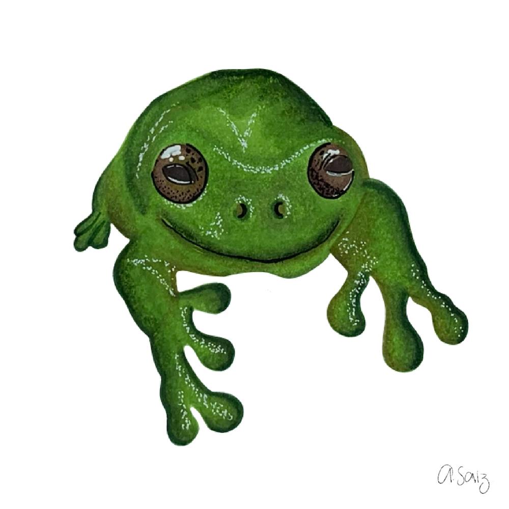 Grüner Frosch