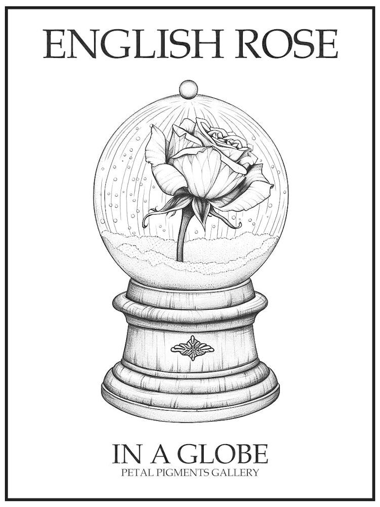 English Rose In A Globe Line Drawing 3 Poster