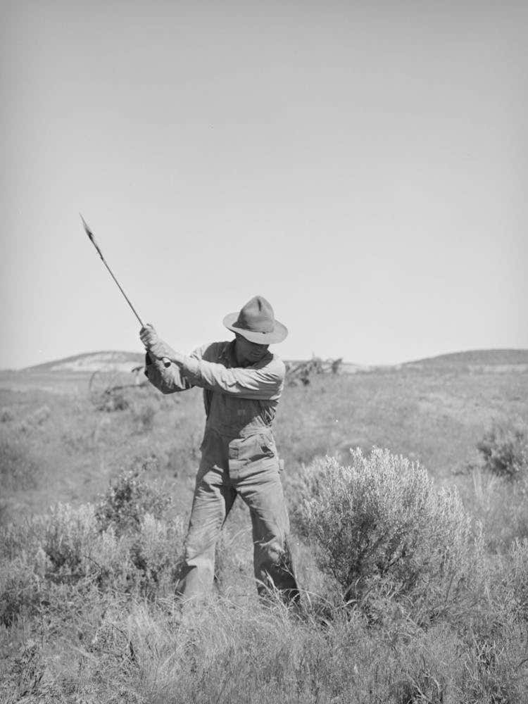 Newly Arrived Farmer Clearing Land Of Sage Brush, Vale Owyhee Irrigation Project, Malheur County, Oregon