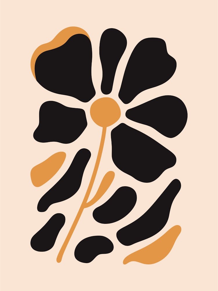 Black And Orange Flower 3