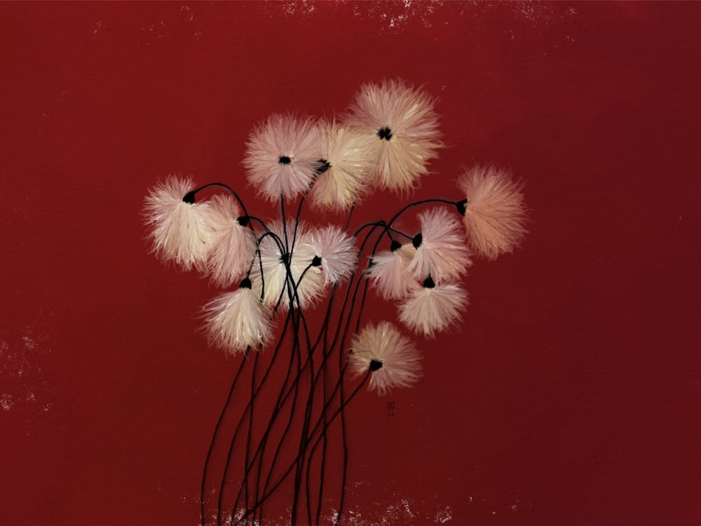 Dandelion