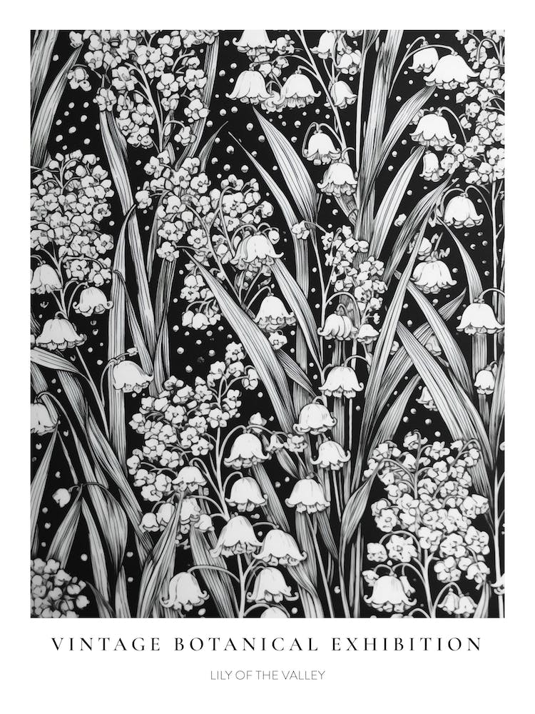 Lily Of The Valley 2 B&W Vintage Botanical Poster