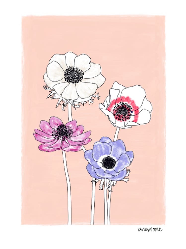 Anemones