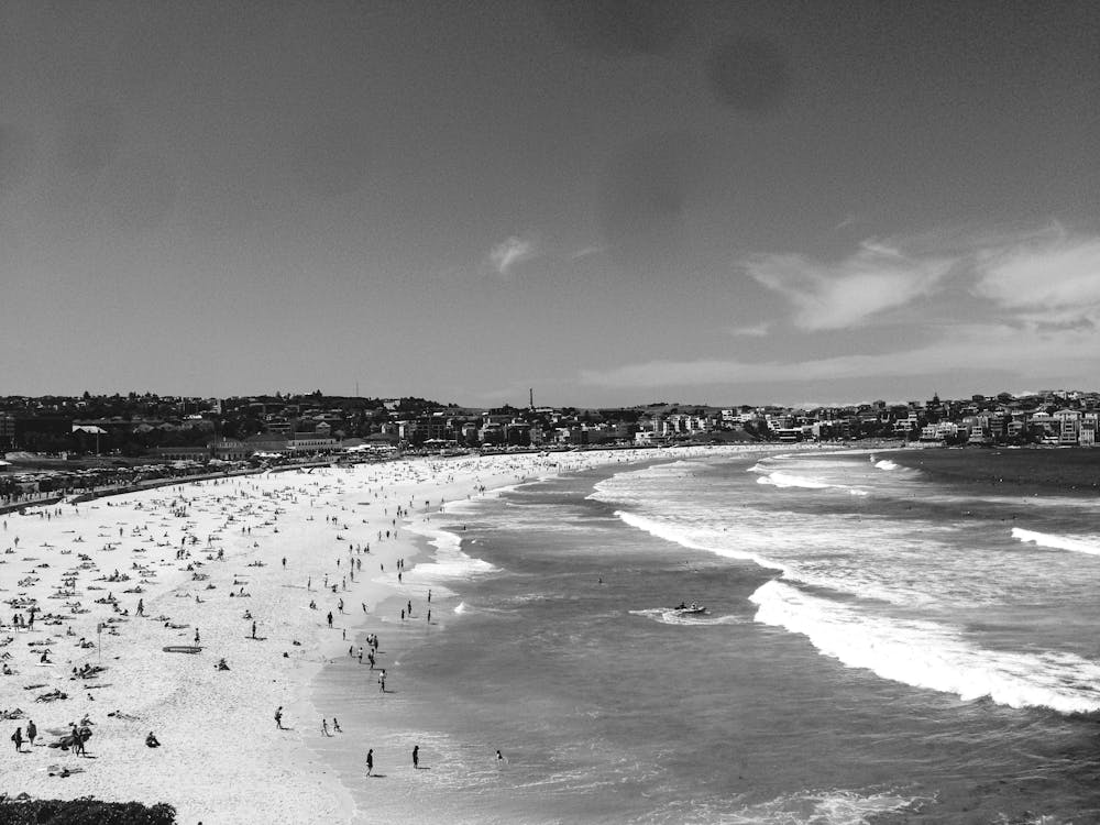 Bondi Beach Black and White