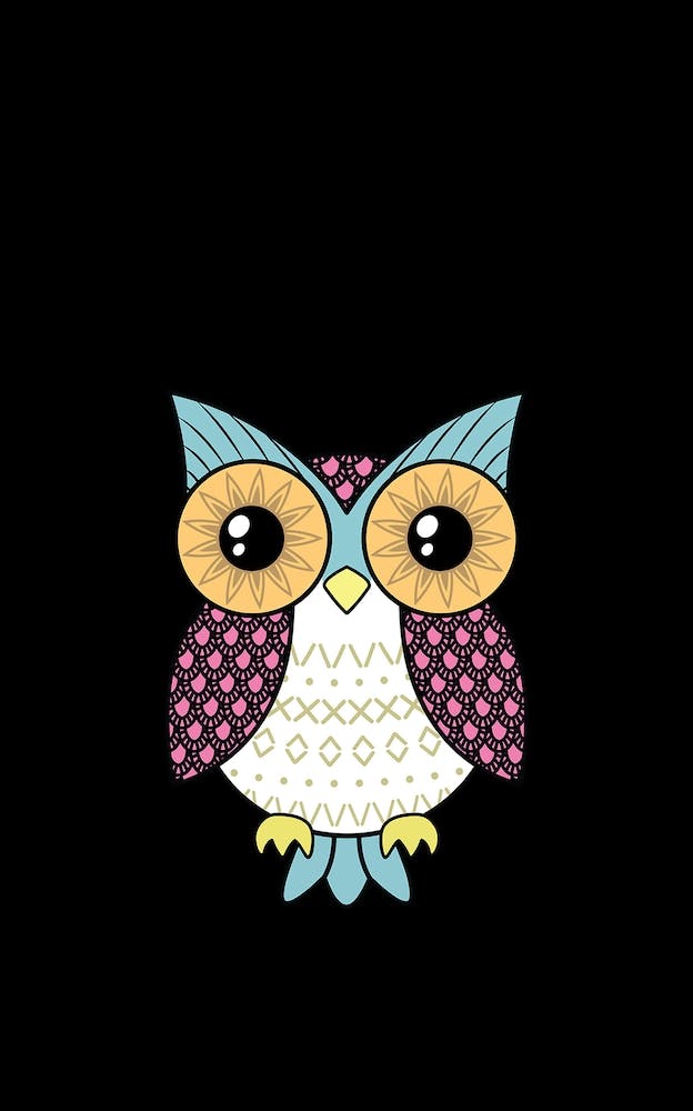 Fancy Owl