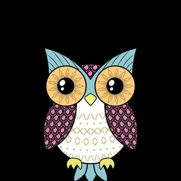 Fancy Owl