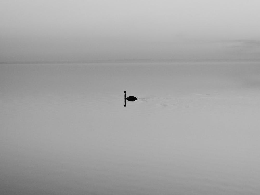 Silence