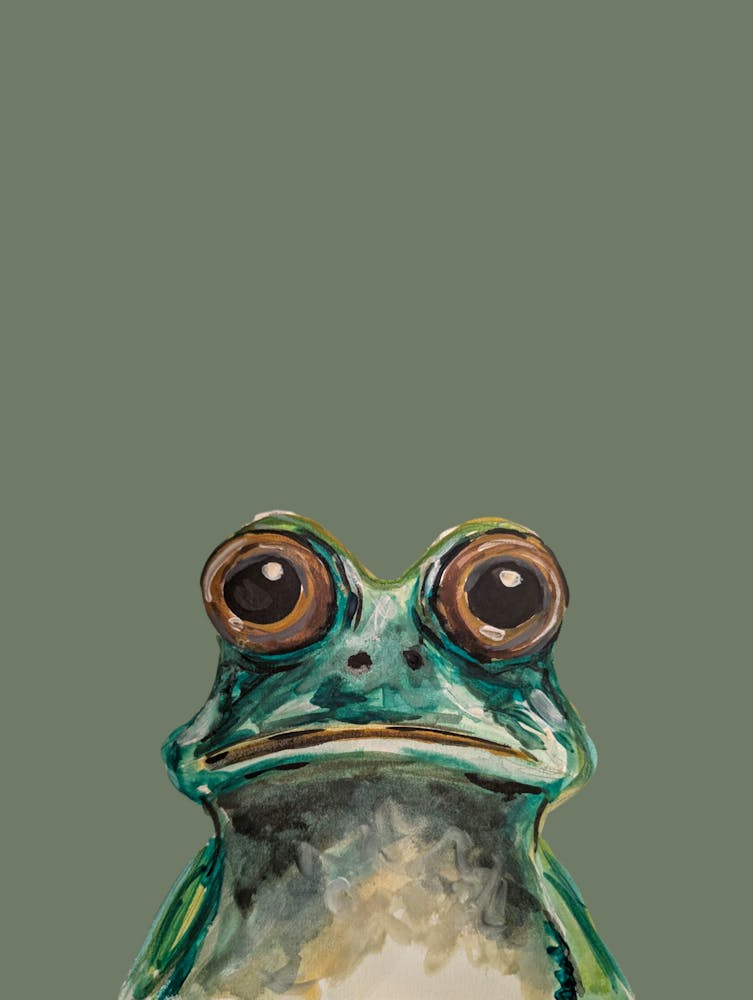 Green Frog Illustration Watercolour