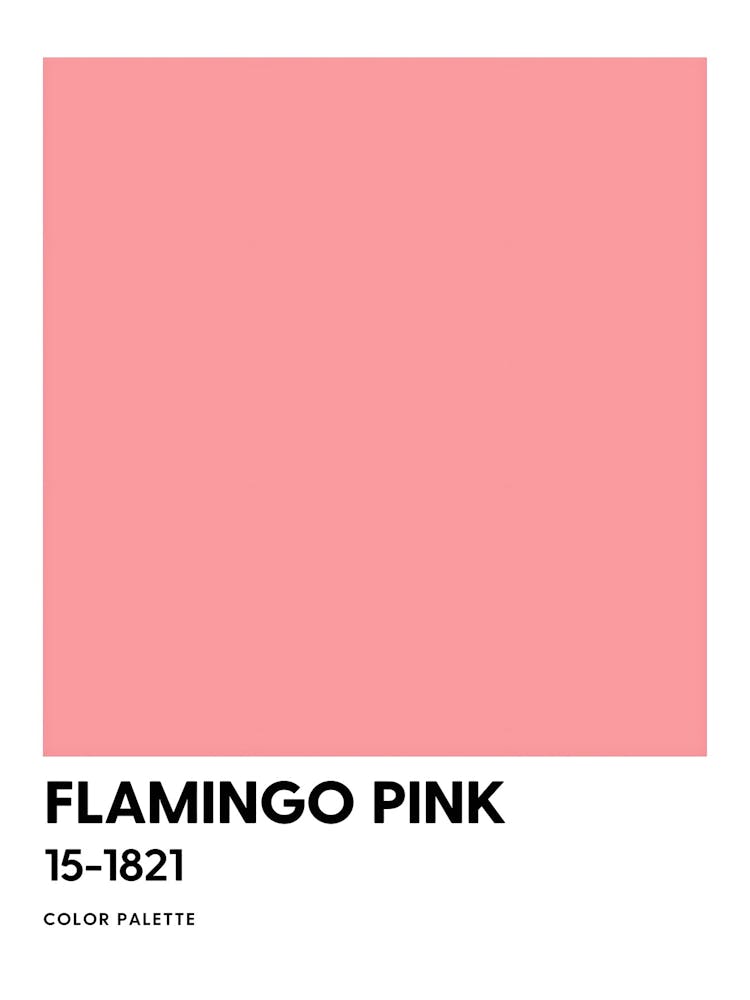 Flamingo Pink