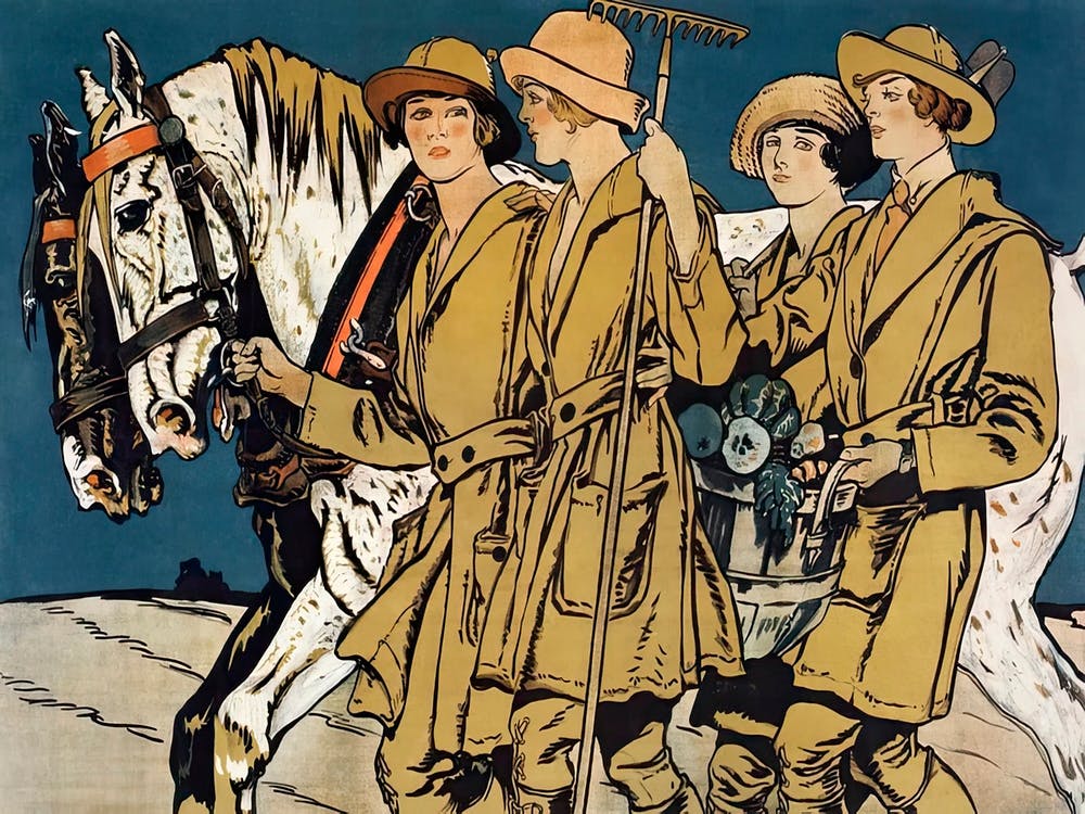 Women With Horse Illustration, Edward Penfield