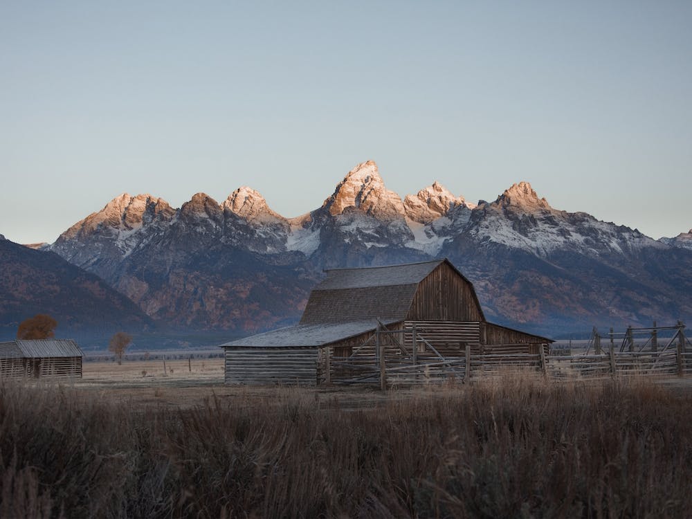 Mormon Row Cabin