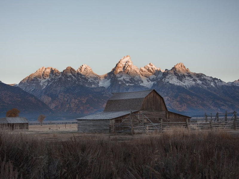 Mormon Row Cabin