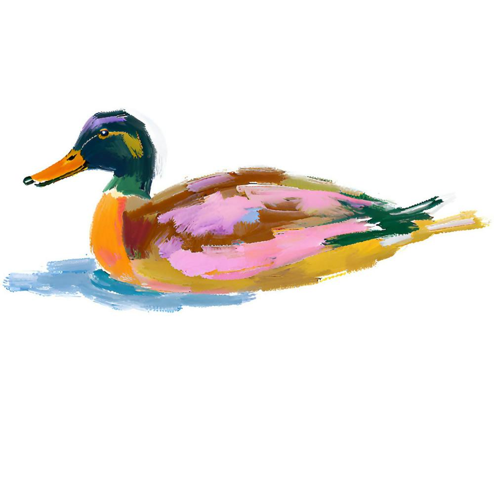 Duck 07 1