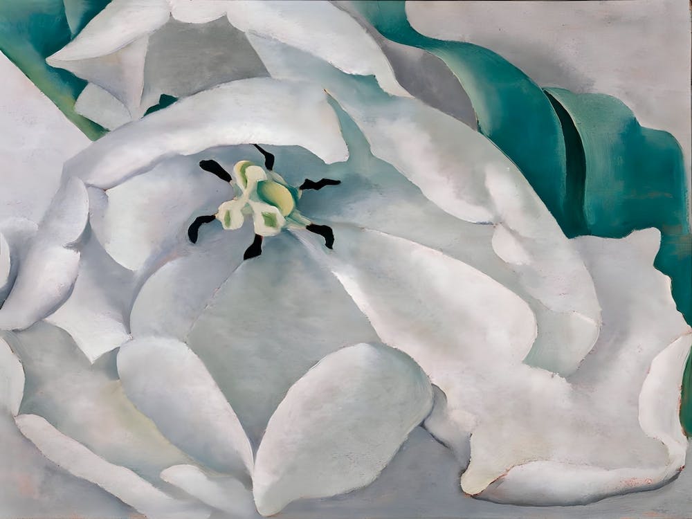 Georgia O'Keeffe - White Flower , 1932