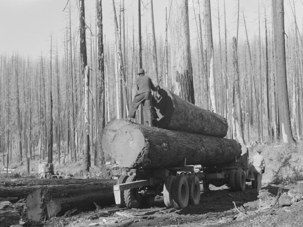 Loading Logs Onto Truck, Tillamook County, Oregon By Russell Lee 1