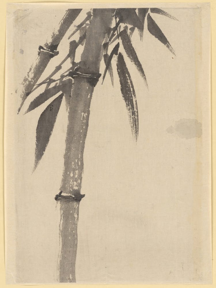 Bambou , Katsushika Hokusai 1