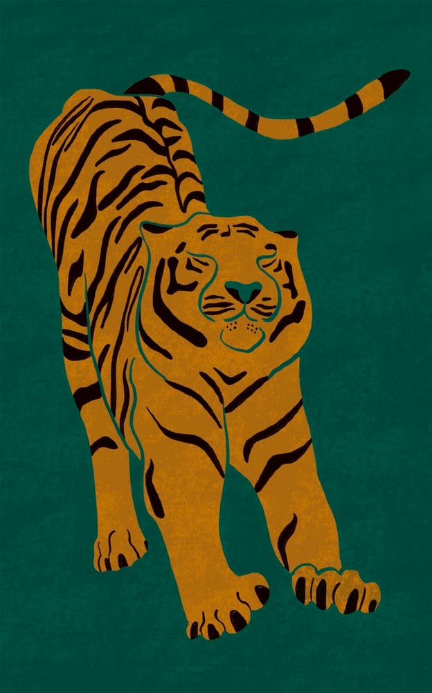 Tiger Doesn't Lose Sleep Animal