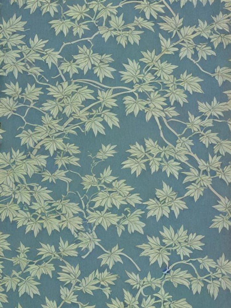 Japanischer Ahornbaum Vintage Botanisch