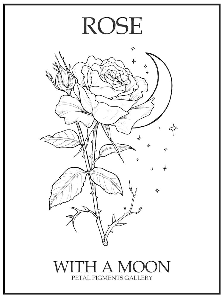 Rose With A Moon Line Drawing 1 Poster
