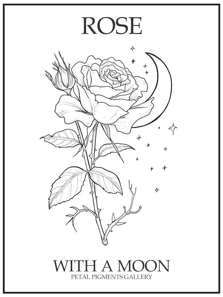 Rose With A Moon Line Drawing 1 Poster