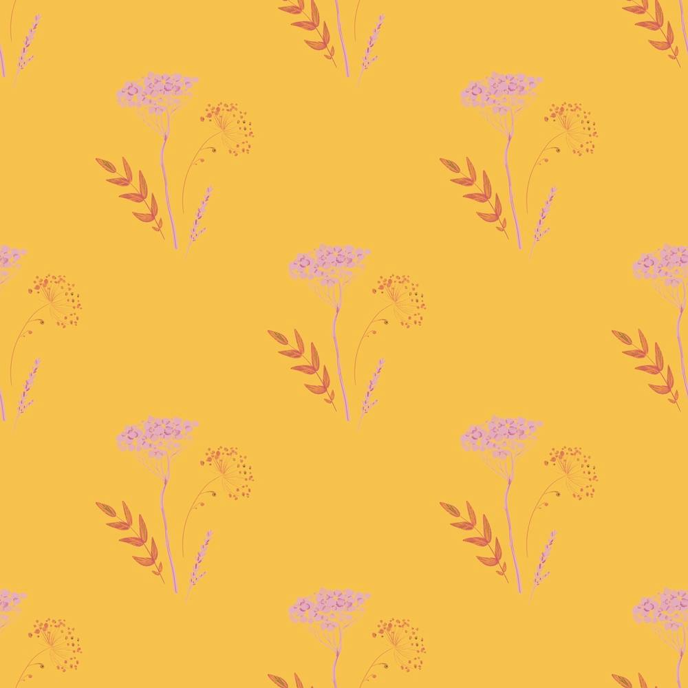 Pink Yarrow On Sunshine