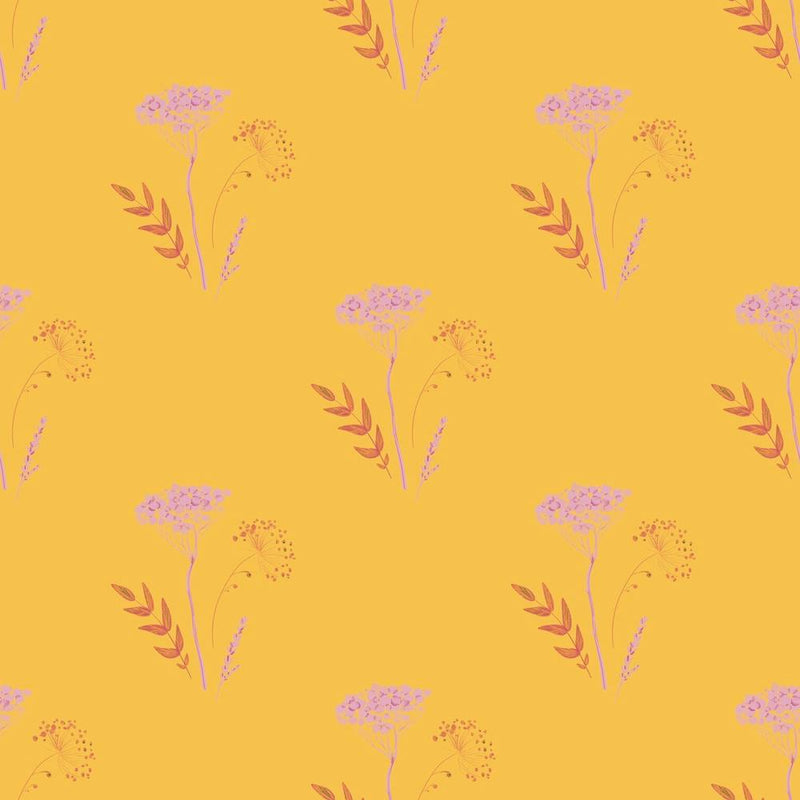 Pink Yarrow On Sunshine