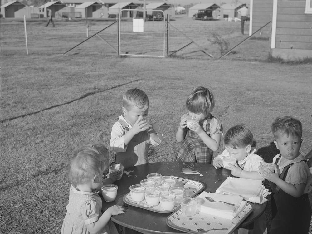 Children Drinking Milk, Yuba City Fsa (Farm Security Administration) Farm Workers Camp, Yuba City, California B