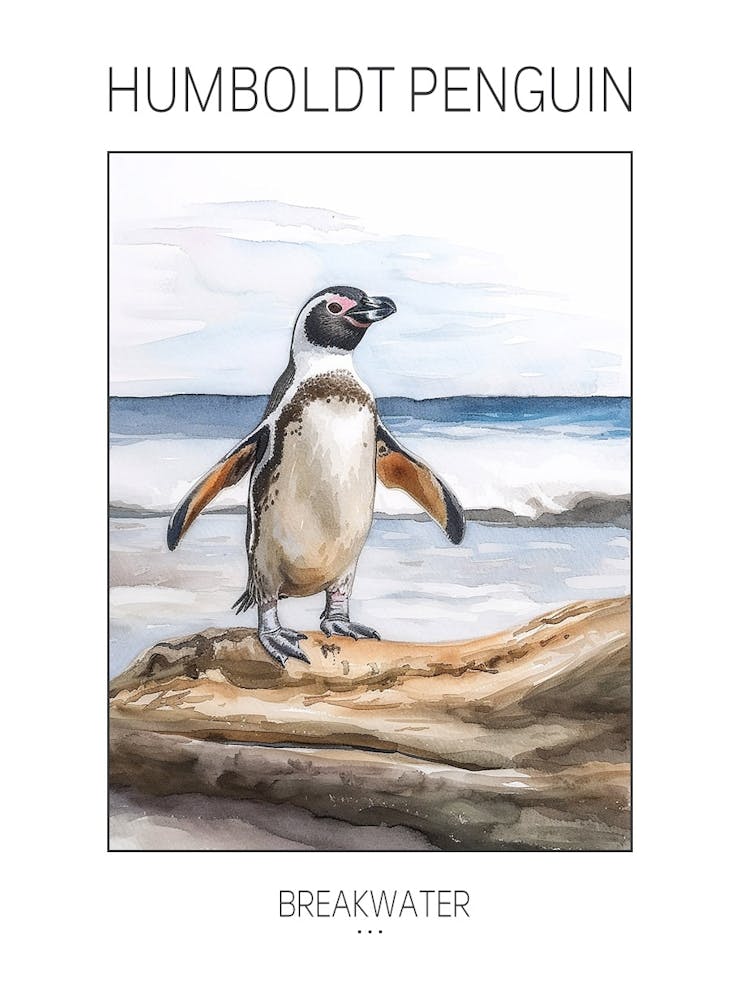 Humboldt Penguin Breakwater Watercolour Painting 3 Poster