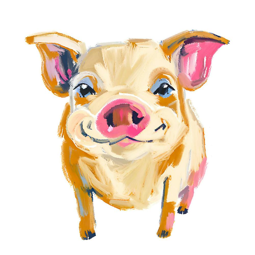 Cochon du Yorkshire 04