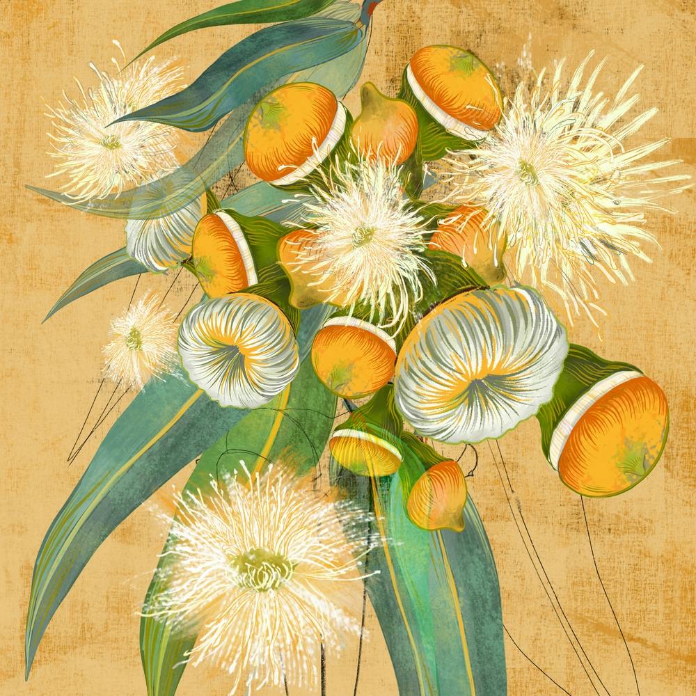 Eucalyptus Gumnuts Square