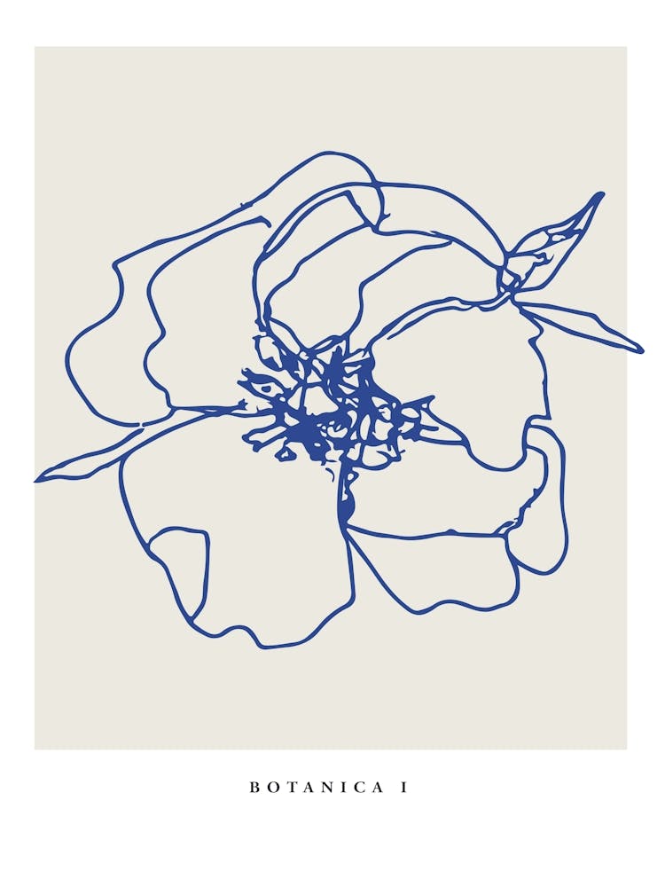 Botanica line no 12