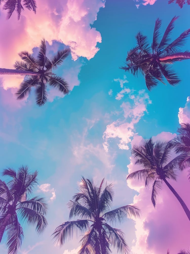 Palm Trees In The Sky 12