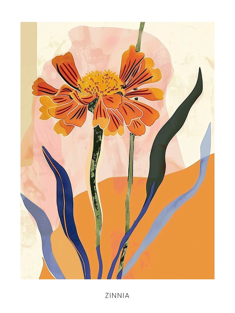 Colourful Flower Illustration Poster Zinnia 3