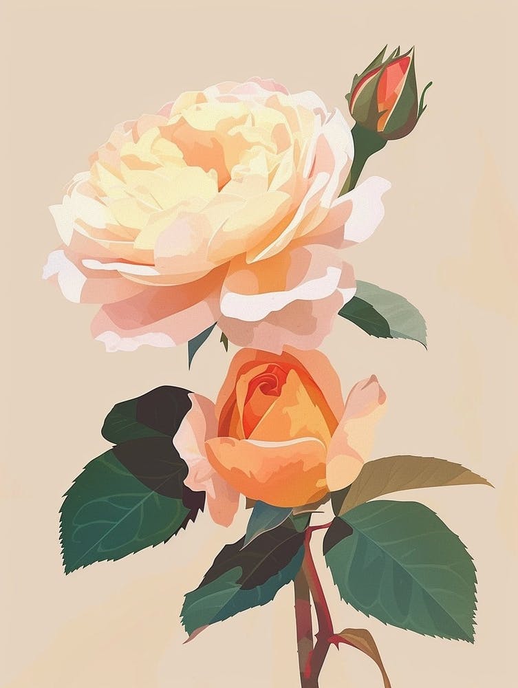 Englische Rosen Minimalistisches Gemälde 2