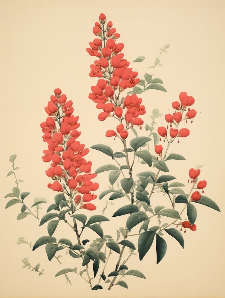 Hagi Bush Clover 2 Vintage Japanese Botanical