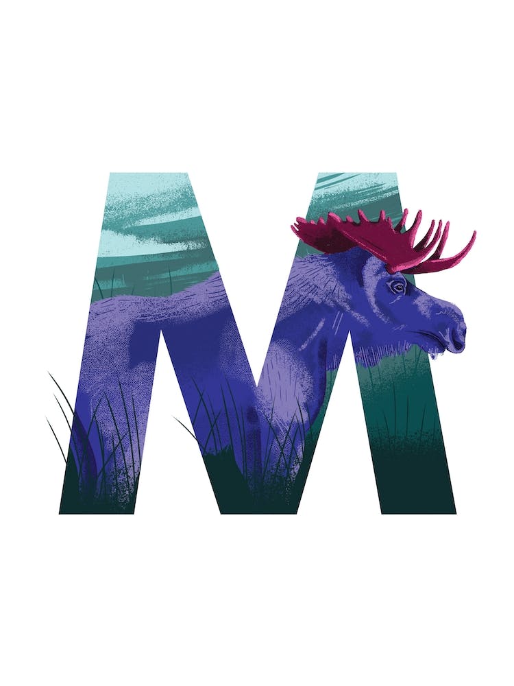 M Is For Moose 