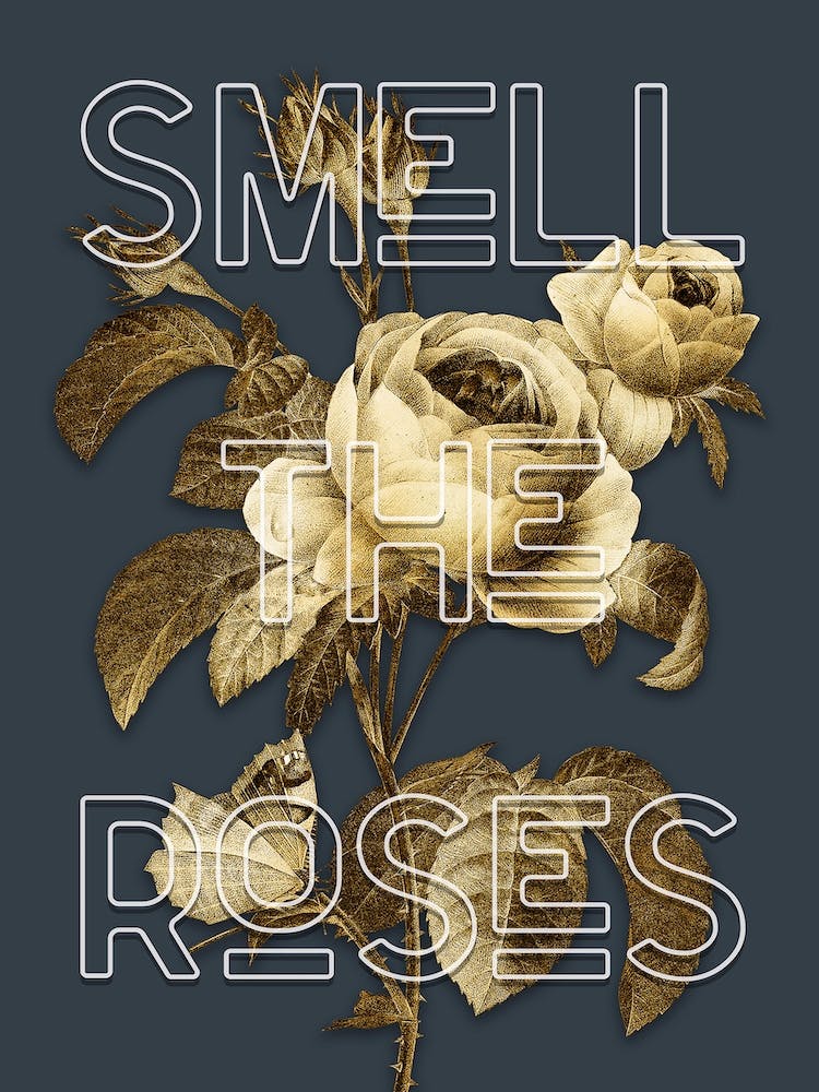 Smell The Roses Vintage Typography Quote