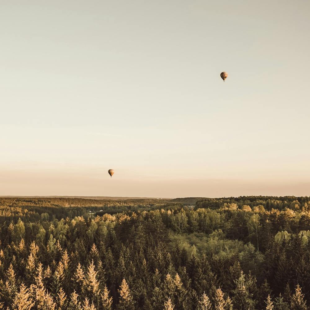 Hot Air Balloons New Mexico Square