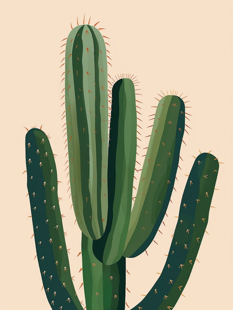 Parodia Cactus Minimalist Abstract Illustration 3