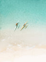 Dreamy Canvas Art