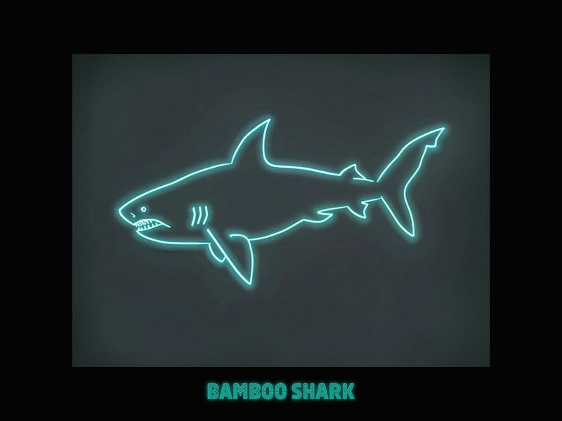 Neon Aqua Bamboo Shark 6 Poster
