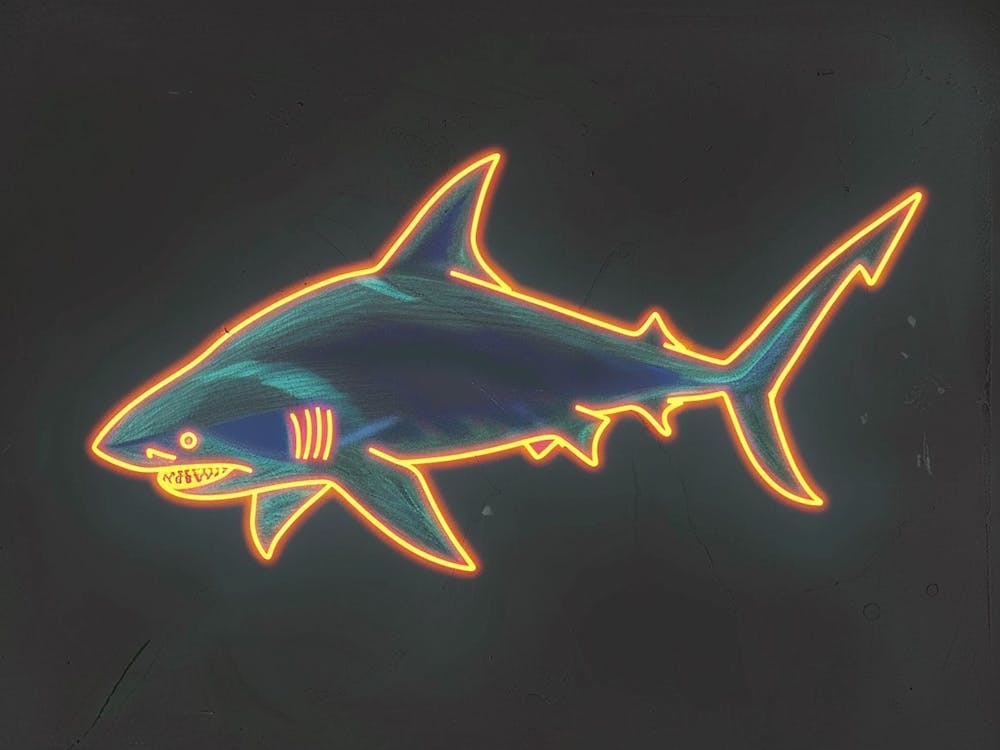 Requin Tapis Orange Néon 7
