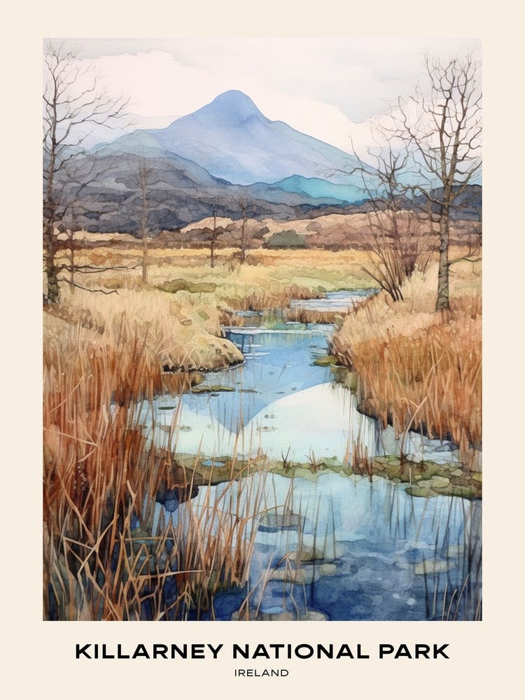 Killarney National Park Ireland 5 Poster