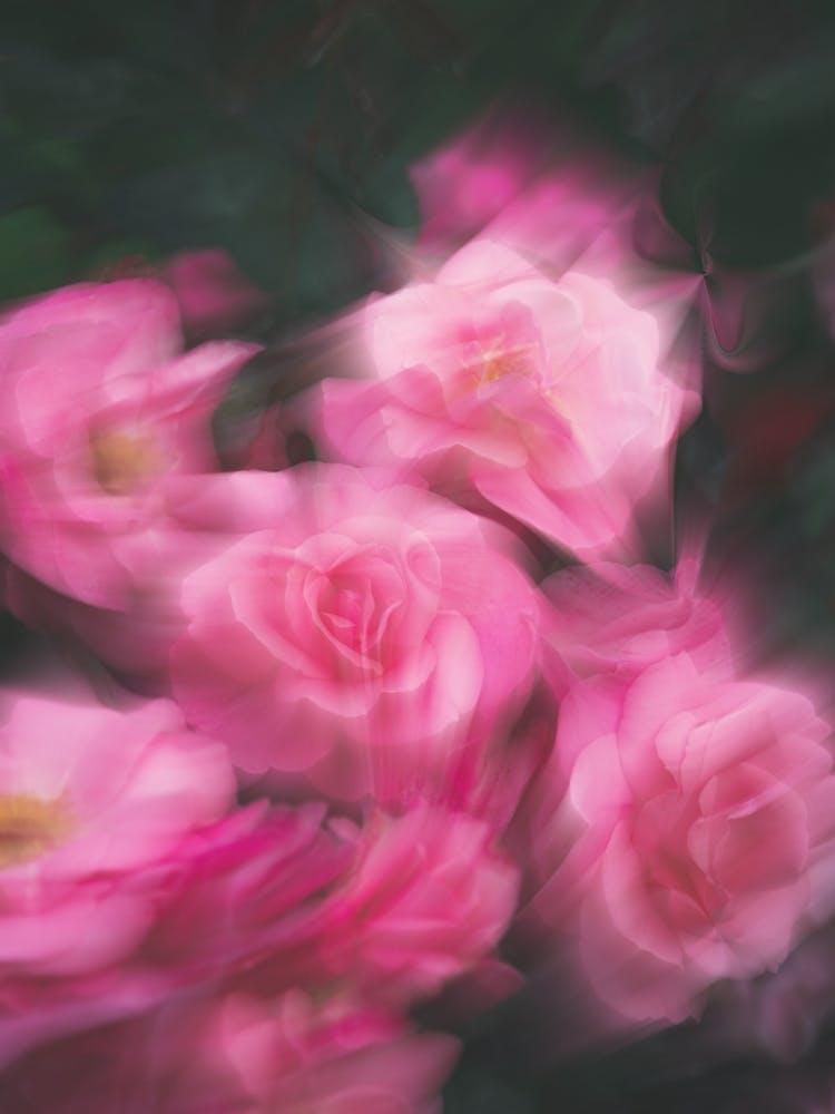 Blurred Moving Flowers